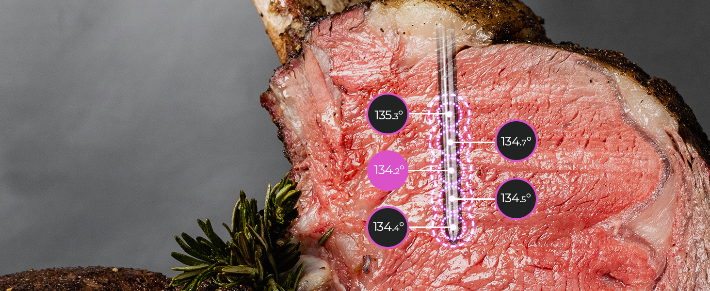 MEATER Pro: Smart Bluetooth Wireless Meat Thermometer Digital | 1000°F Heat Resistance | Long Range | Certified Accuracy | BBQ, Oven, Grill, Smoker, Air Fryer, Deep Fryer