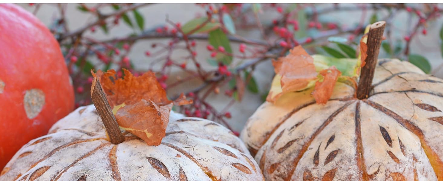 ALLTOP Danish Dough Whisk - Ultimate Dutch Mixer Hand Utensil with Stainless Steel Dough Hook - Essential Sourdough Stirring Stick for Perfect Bread Making Tool