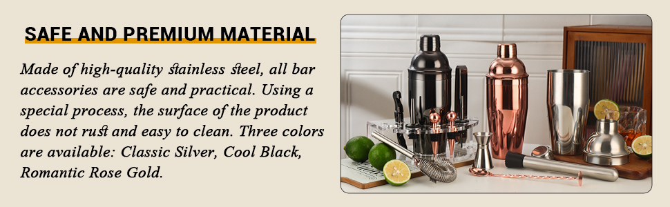 Bartender Kit Cocktail Shaker Set, Stainless Steel Cocktail Kit with 12 Piece Bar Accessories, 25oz Shaker Bar Set Drink Mixer Set with Stand Jigger Strainer Spoon Muddler for Cocktails (Silver)