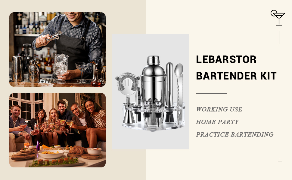 Bartender Kit Cocktail Shaker Set, Stainless Steel Cocktail Kit with 12 Piece Bar Accessories, 25oz Shaker Bar Set Drink Mixer Set with Stand Jigger Strainer Spoon Muddler for Cocktails (Silver)
