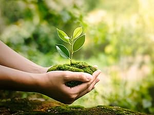 CORAL Light Brown 100% Compostable Forks - 120 Heavy Duty Forks (7.0 inch) - Break Resistant with Smooth Edges, Ocean Friendly Alternative to Plastic Silverware - Biodegradable & Disposable Forks