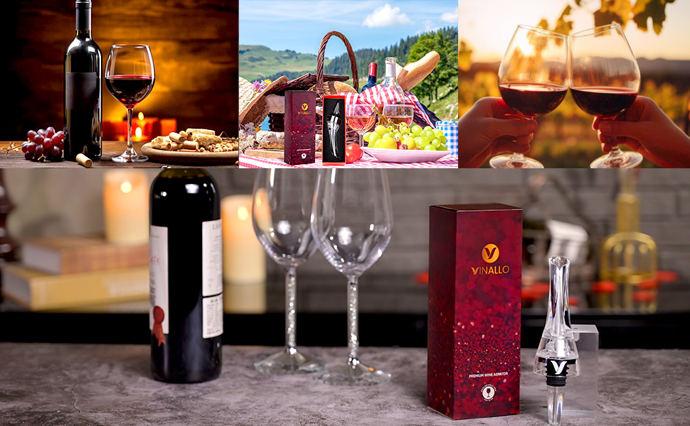 Wine Aerator Pourer Spout Diffuser - Wine Decanter with Aerator Attaches to Wine Bottle for Enhanced Flavor | Premium Quality Wine Air Aerator with Reusable Silicone Wine Stopper | No Drip or Spill