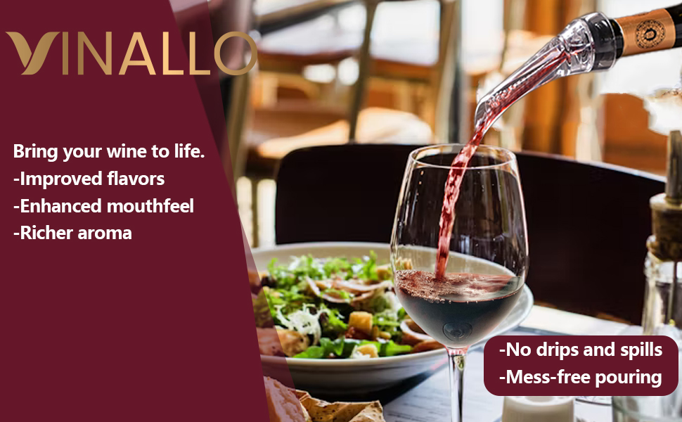 Wine Aerator Pourer Spout Diffuser - Wine Decanter with Aerator Attaches to Wine Bottle for Enhanced Flavor | Premium Quality Wine Air Aerator with Reusable Silicone Wine Stopper | No Drip or Spill