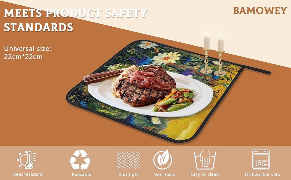 Daisies Flowers Pot Holders Set of 2 Heat Resistant Potholders,Fire Oven Hot Pads for Kitchen Cooking Baking Barbecue