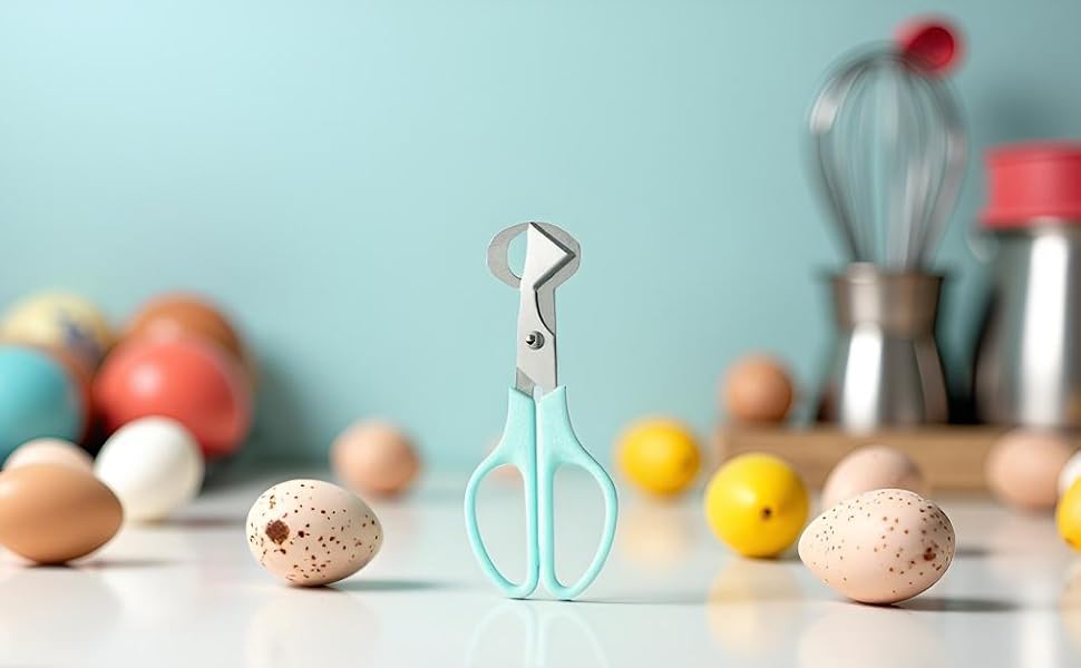 Stainless Steel Quail Egg Scissors,Egg Slicer Pigeon Clipper Shell Separato, Quail Egg Peeler Egg Cracker Pigeon Bird Quail,Quail Egg Scissors