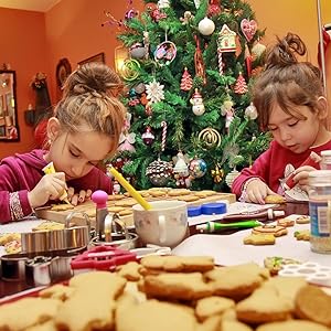 Flower Cookie Cutters Set,Stainless Steel Sandwiches Cutters Biscuit Molds for Kids,5pcs Sturdy Cutters for Cookies,Sandwiches,Small to Large Size of 2.05