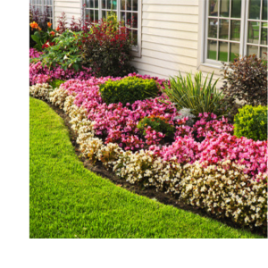 Monterey Garden Measure Spoon, 1 Side Teaspoon, 1 Side Tablespoon