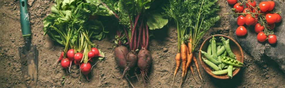 Monterey Garden Measure Spoon, 1 Side Teaspoon, 1 Side Tablespoon