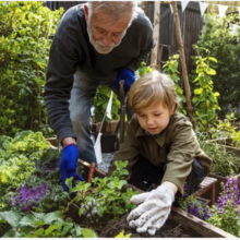 Monterey Garden Measure Spoon, 1 Side Teaspoon, 1 Side Tablespoon