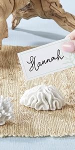 Kate Aspen Absorbent Sand Dollar Drink Coasters Set of 4– Coastal Decor, Nautical Home Decorations, Housewarming Gift, & Beach Themed Coasters for Drinks