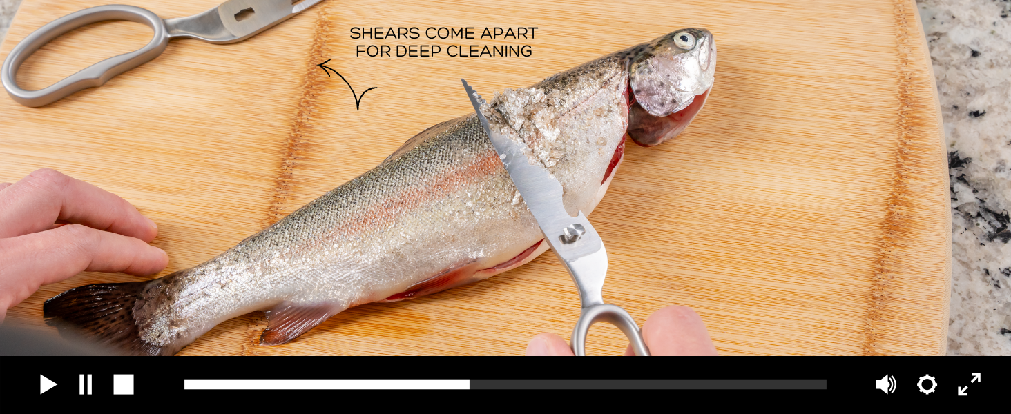 Premium Kitchen Scissors by Gidli – Lifetime Replacement Warranty* - Heavy Duty Kitchen Shears for Food – All-Purpose Stainless Steel Scissors – Dishwasher Safe, Comes Apart for Easy Cleaning