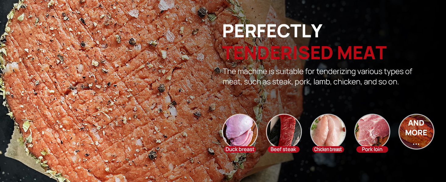 Commercial Meat Tenderizer,450W Electric Meat Tenderizer Machine – Heavy Duty Stainless Steel Kitchen Tool with 54 Blades for Beef, Pork, Chicken, Fish – Output, Reverse Function