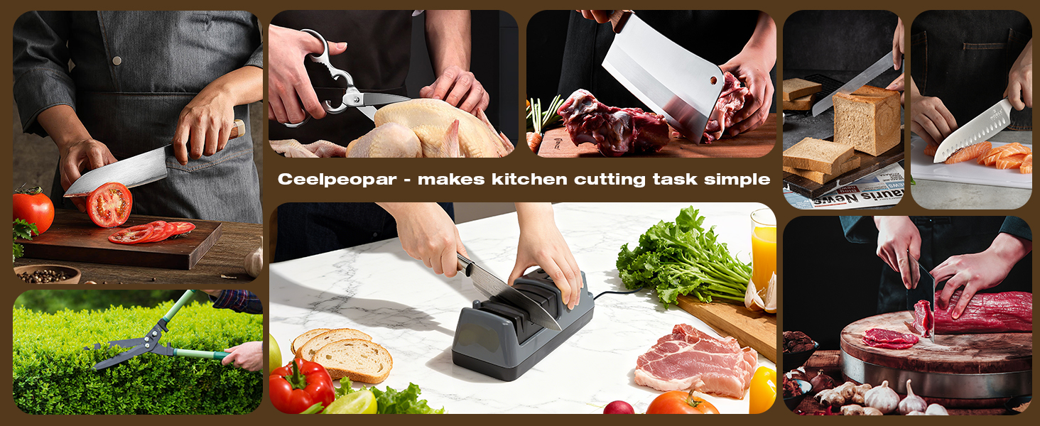 Professional 3-Stage Electric Knife Sharpener for Kitchen Knives, LCD Screen, 100% Diamond Abrasive, Adjustable Rotational Speed, Precision Angle Guides for All Kitchen Knives