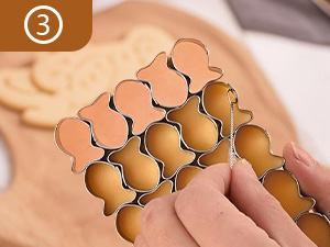 Cracker Cutter for Gold Fish,Stainless Steels Small Cookie Cutters,25 Cavity Fish Cookie Cutter,Mini Gold Molds for Crackers,Non-stick Dough