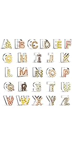 6PCS Square Cookie Cutter Set, Large Geometric Stainless Steel Baking Supplies for Homemade Cookies, Square Plaque Cookie Cutters Shapes Biscuit Molds, 6 Sizes (1.5, 2, 2.5, 3, 3.5, 4 Inch)