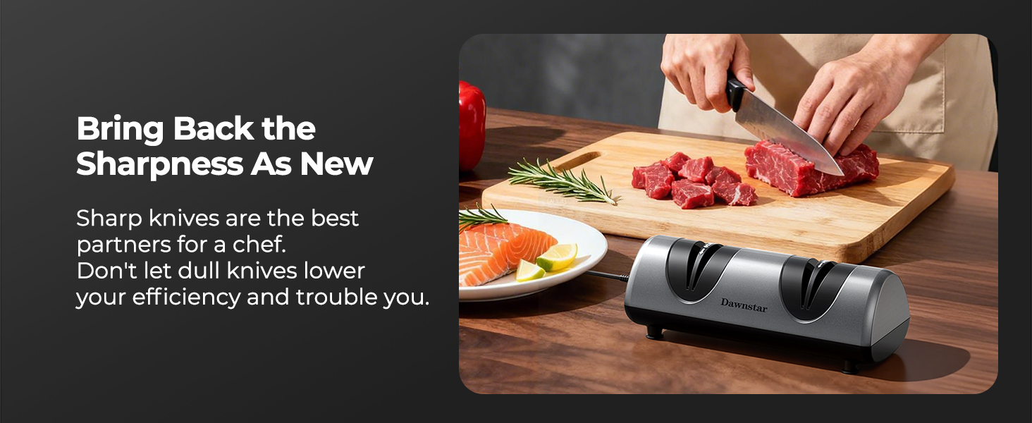 Electric Knife Sharpener, Professional Kitchen Knife Sharpener for Home Use, 2 Stages of Coarse Sharpening & Fine Polishing, Metal Dust Collection Box for Easy Cleaning, Silver Gray