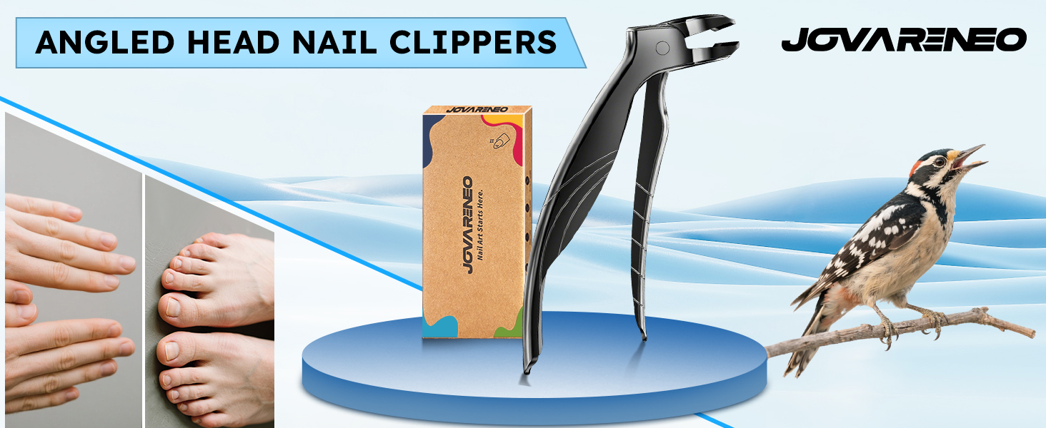 Toenail Clippers for Seniors, Angled Head Large Toe Nail Clippers for Thick Toenails, Wide Jaw Eagle Beak Clippers for Ingrown Nails, Anti-Splash Cutter with Curved Blade, Cuticle Clippers
