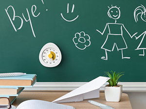 LIORQUE Visual Timer for Kids, 60-Minute Countdown Kitchen Timers for Cooking, Kids Timer with Silent Operation & Countdown Pause for Teaching Classroom Office