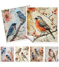 Black Cat Swedish Dishcloths for Kitchen, 6 Pack Reusable Dish Cloths for Washing Dishes, Absorbent Swedish Dish Towels for Home Kitchen Cleaning Fast Drying Washable Dishes Cloths