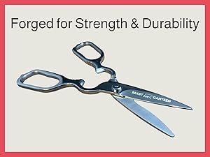 Kitchen Scissors – Heavy-Duty All-Stainless Steel Shears with Forged 3Cr14 Blades, Come-Apart Design, Rust-Resistant Electropolished Finish, Multi-Purpose Nutcracker & Bottle Opener