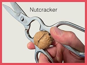 Kitchen Scissors – Heavy-Duty All-Stainless Steel Shears with Forged 3Cr14 Blades, Come-Apart Design, Rust-Resistant Electropolished Finish, Multi-Purpose Nutcracker & Bottle Opener