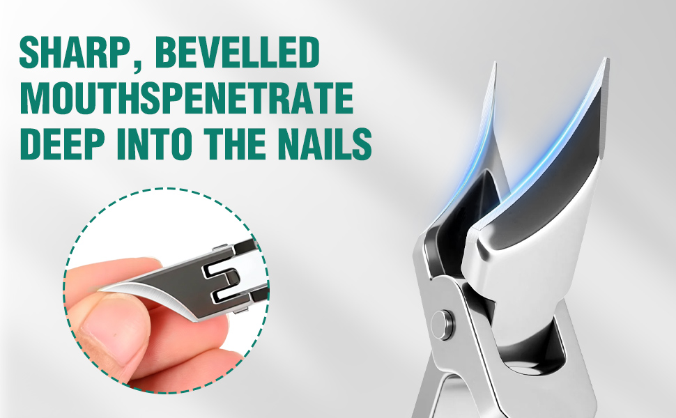 Upgraded Eagle Beak Beveled Nail Clippers, Long Handle Wide Jaw Slanted Nail Clipper, Eagle Beak Angled Edge Nail Clippers 3-Piece Set, Wide Jaw Opening Anti-Splash Nail Clipper for Men Women(Green)