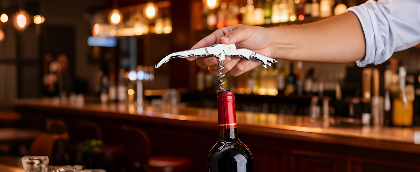 IOV Mixology Bartender Kit Bar Set with Stand | 17-Piece Cocktail Shaker Set | 28oz Boston Shaker Drink Mixer Set with All Essential Accessory Tools | Fun Housewarming Gift (Silver)