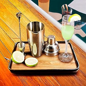 Cocktail Shaker Set, 6-Piece 24oz Shaker Strainer Muddler Jigger Mixing Spoon Pourers (Set of 6)