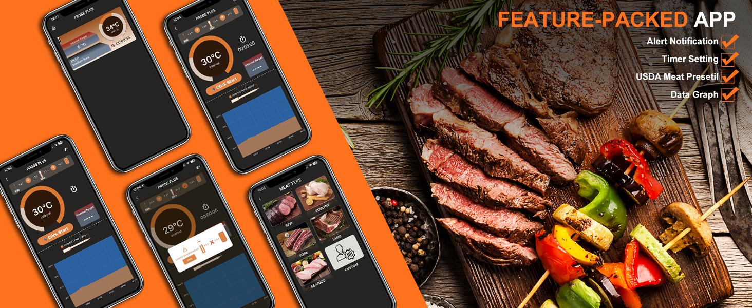 Wireless Meat Thermometer Bluetooth with Ceramic Probe: Waterproof Digital Oven Food Thermometer for Grill Fryer BBQ, 600Ft Range & Smart App for iOS/Android/air, Cooking for Outdoor,Home, Apartment