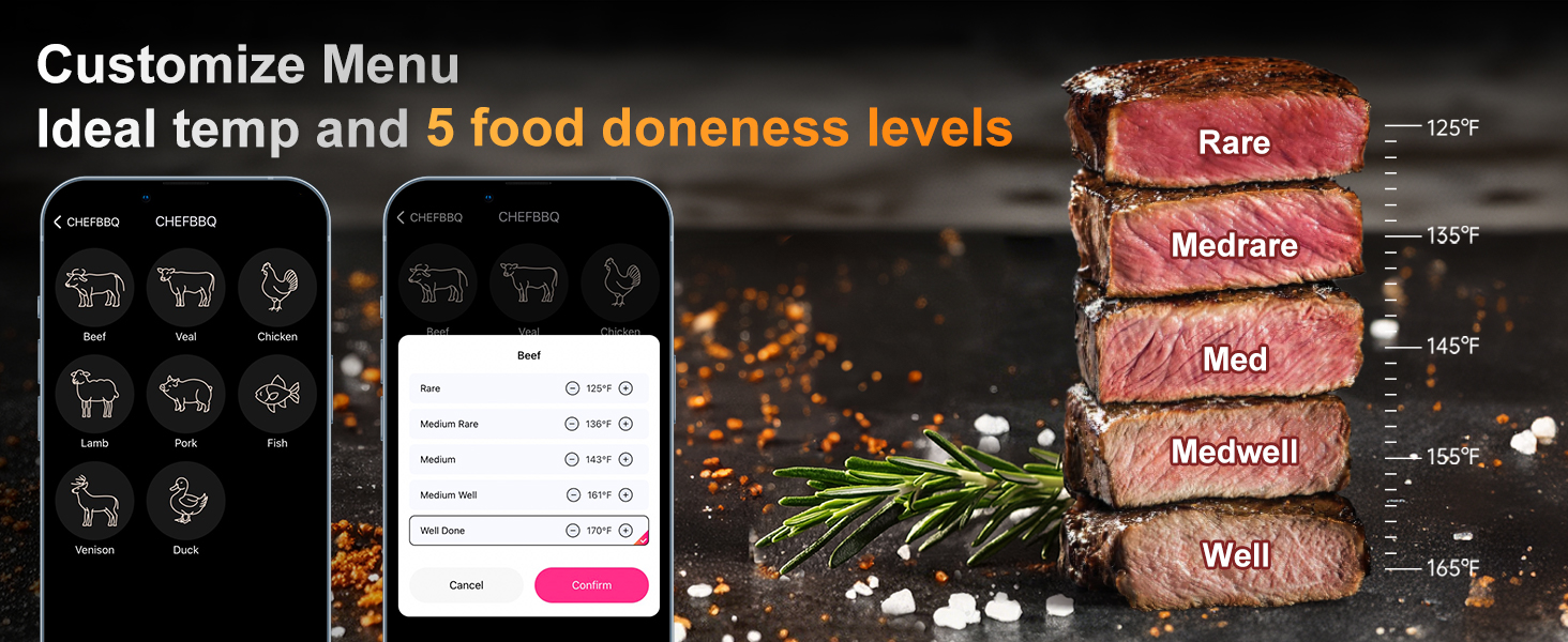 Meat Thermometer Wireless with 2 Probes, 800FT Bluetooth Digital Thermometer with Smart APP, Temp Precise Improved by 100%, Instant Read Food Thermometer with Alerts for Oven Smoker BBQ Grill