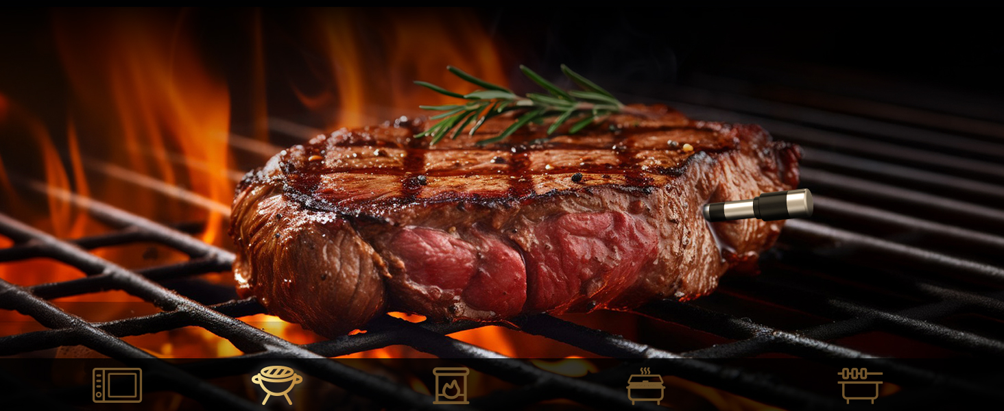 Meat Thermometer Wireless with 2 Probes, 800FT Bluetooth Digital Thermometer with Smart APP, Temp Precise Improved by 100%, Instant Read Food Thermometer with Alerts for Oven Smoker BBQ Grill