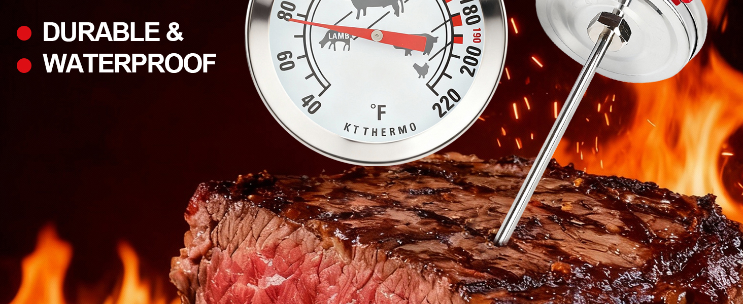 Meat Thermometer Cooking Thermometer Stainless Steel Kitchen Thermometer Temperature Labeled for Poultry, Pork, Beef