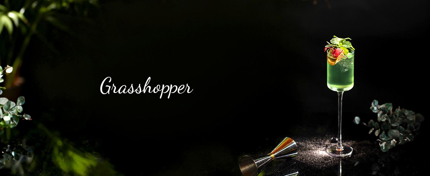 Cocktail Shaker Set,24-Piece Bar Bartender Kit with Stand,Martini Shaker,Jigger,Strainer,Mixer Spoon,Muddler,Liquor Pourers,Tongs,Opener,LCE Ball Mold&LCE Cubes,Bottle Stoppers|Silver