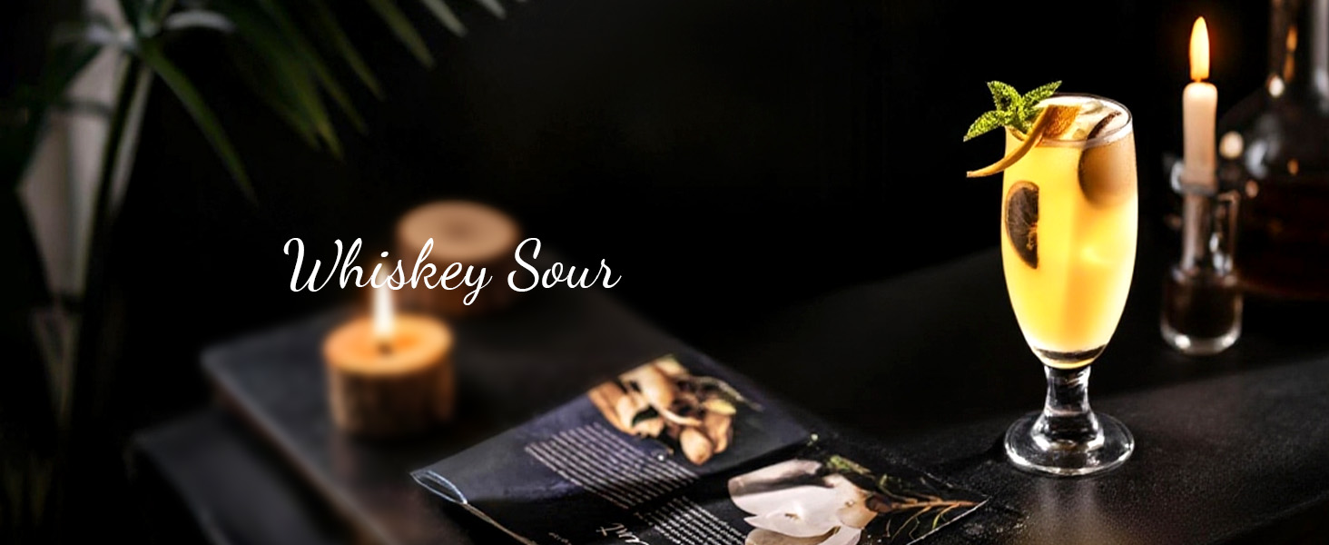 Cocktail Shaker Set,24-Piece Bar Bartender Kit with Stand,Martini Shaker,Jigger,Strainer,Mixer Spoon,Muddler,Liquor Pourers,Tongs,Opener,LCE Ball Mold&LCE Cubes,Bottle Stoppers|Silver