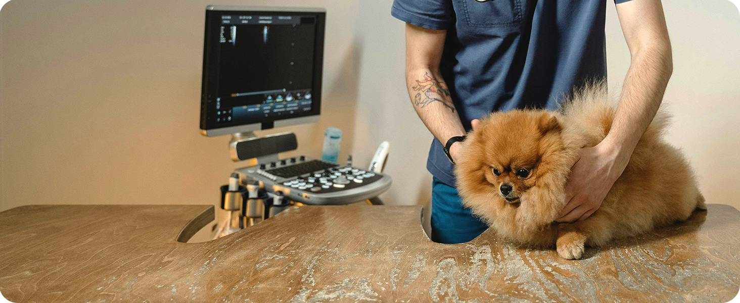 Digital Food Scale 11lb/0.01oz, Kitchen Scales Digital Weight Grams and Oz for Weight Loss, Baking and Cooking,LED Display，with Tare Function