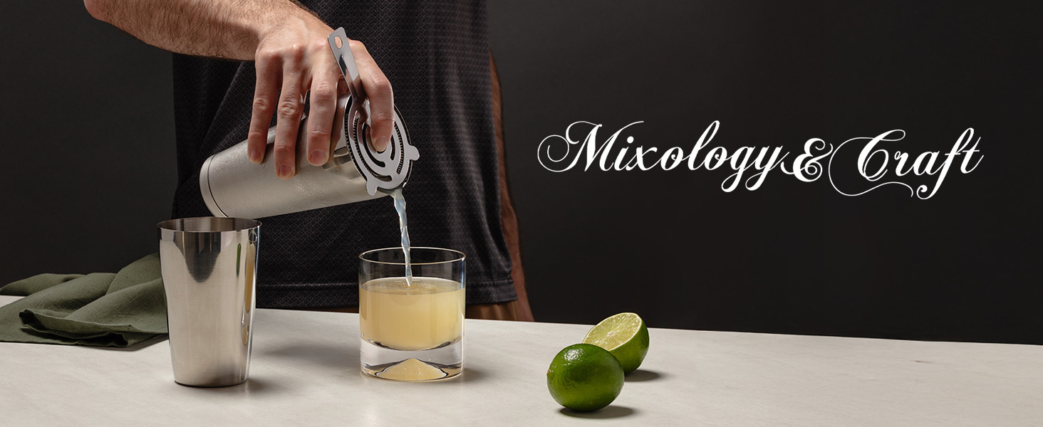 Mixology & Craft Cocktail Shaker Set with Bamboo Stand - Professional 18oz 10-Piece Bartender Kit - Complete Bar Set & Cocktail Mixer Kit for Home (Silver)