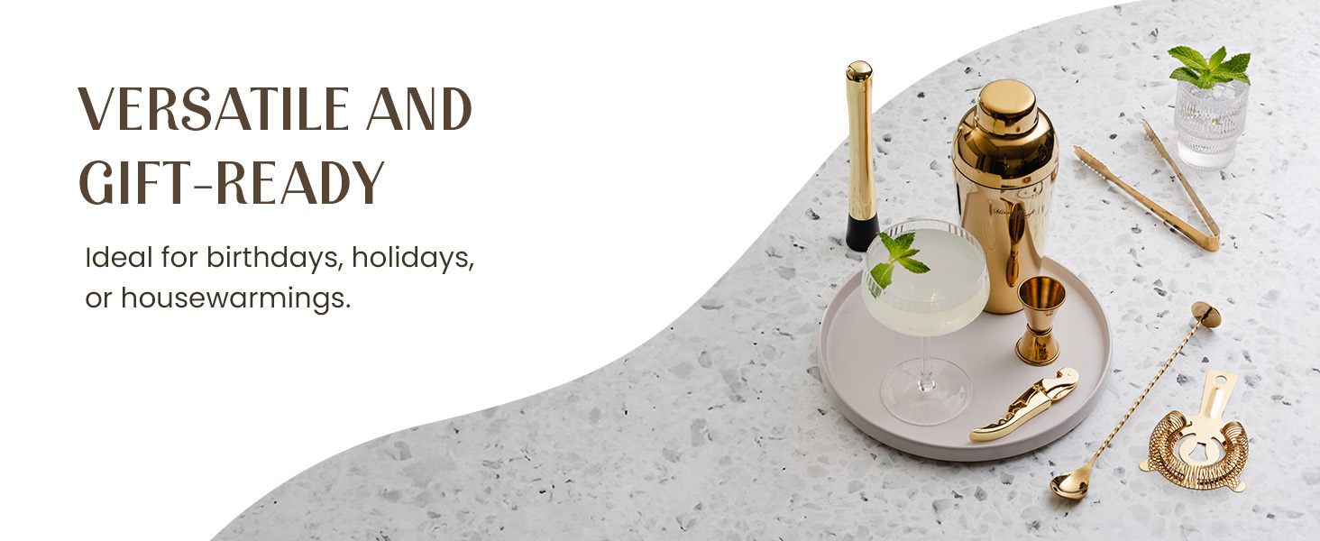 Mixology & Craft Cocktail Shaker Set with Dark Bamboo Stand - Professional 18oz 10-Piece Bartender Kit - Complete Bar Set & Cocktail Mixer Kit for Home (Silver)