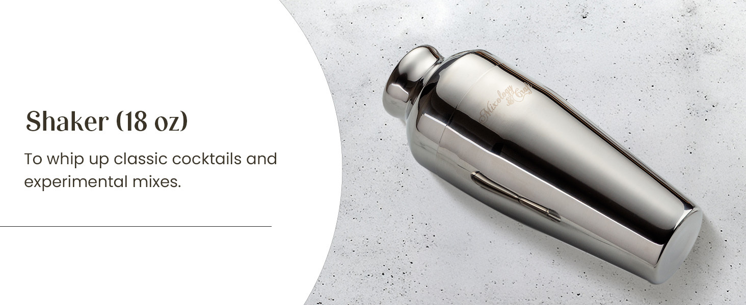 Mixology & Craft Cocktail Shaker Set with Dark Bamboo Stand - Professional 18oz 10-Piece Bartender Kit - Complete Bar Set & Cocktail Mixer Kit for Home (Silver)