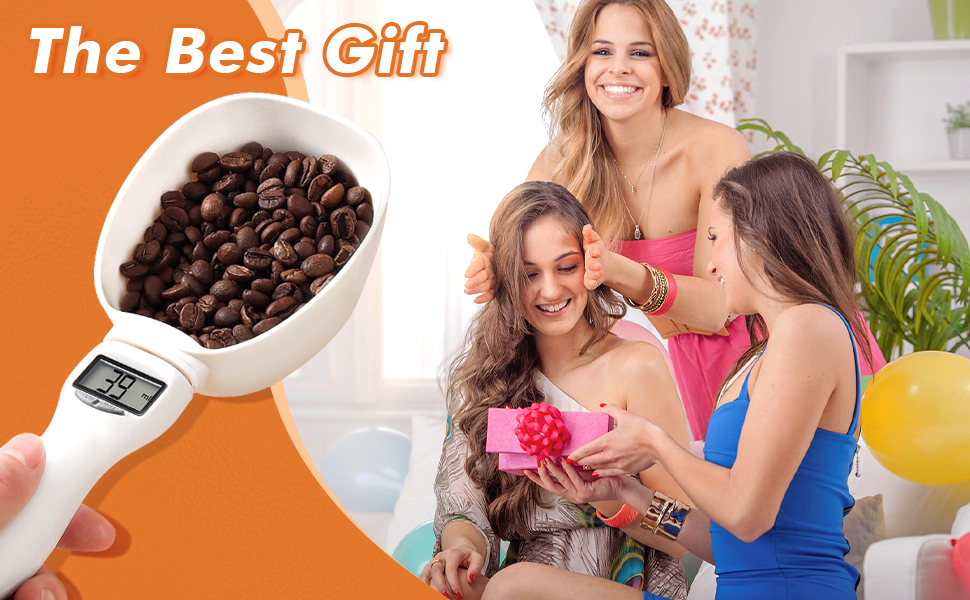 2pcs Digital Measuring Spoon Scale,Electronic Measuring Spoon 800g/0.1g High Precision with Screen,Adjustable Measuring Spoon for Cooking, Pet Food,Daily Meals