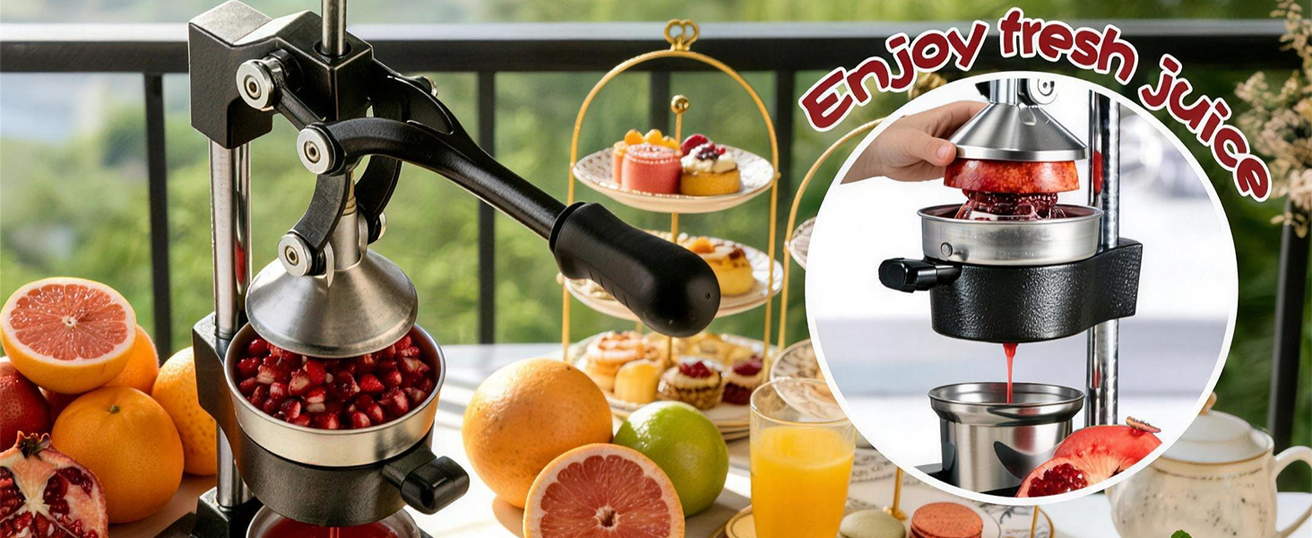 Cast Iron Juicer Hand Press - 13.8LB Heavy Duty Manual Citrus Orange Squeezer, 304 Stainless Steel Cup & Strainer, Professional Lemon Grapefruit Pomegranate Press for Home Bar Kitchen, Black